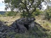 20191010_3-dolmen-du-Toucou